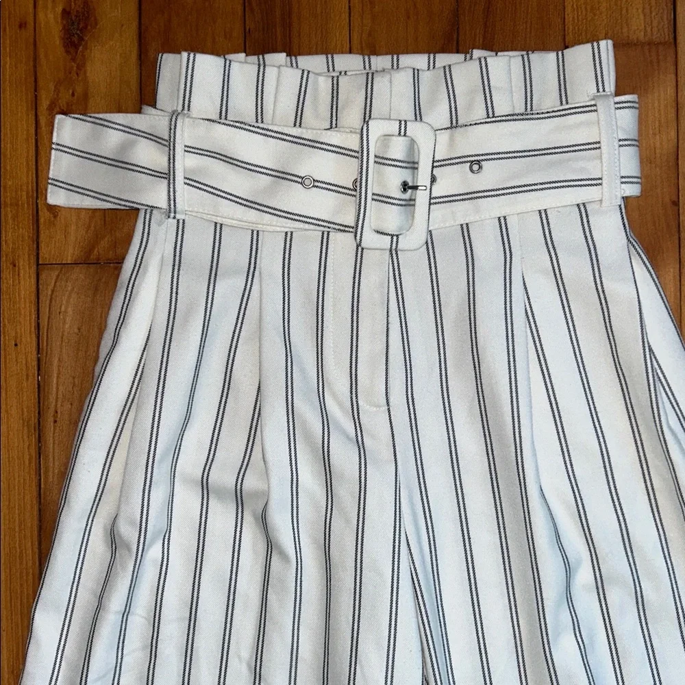 Free People Paperbag High Waisted Pinstripe Wide Leg Crop Pants